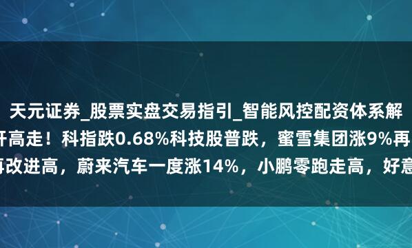 天元证券_股票实盘交易指引_智能风控配资体系解析 港股午评：指数低开高走！科指跌0.68%科技股普跌，蜜雪集团涨9%再改进高，蔚来汽车一度涨14%，小鹏零跑走高，好意思团京东跌3%，阿里跌2%