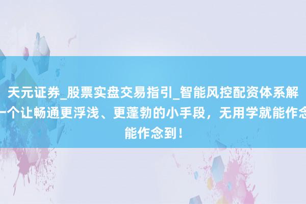 天元证券_股票实盘交易指引_智能风控配资体系解析 一个让畅通更浮浅、更蓬勃的小手段，无用学就能作念到！
