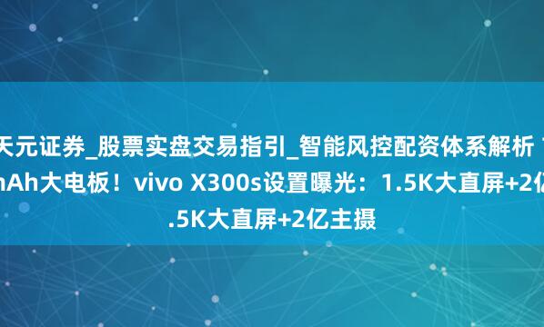 天元证券_股票实盘交易指引_智能风控配资体系解析 7000mAh大电板！vivo X300s设置曝光：1.5K大直屏+2亿主摄