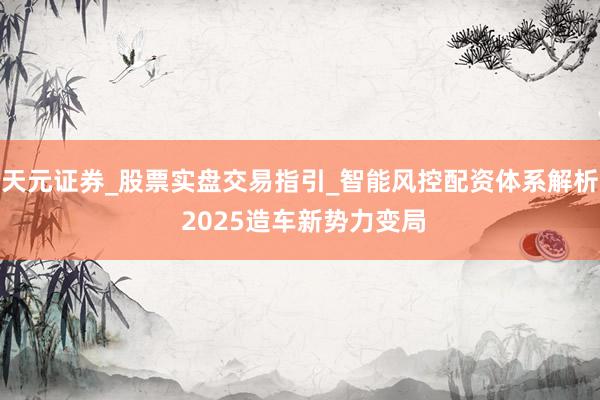 天元证券_股票实盘交易指引_智能风控配资体系解析 2025造车新势力变局