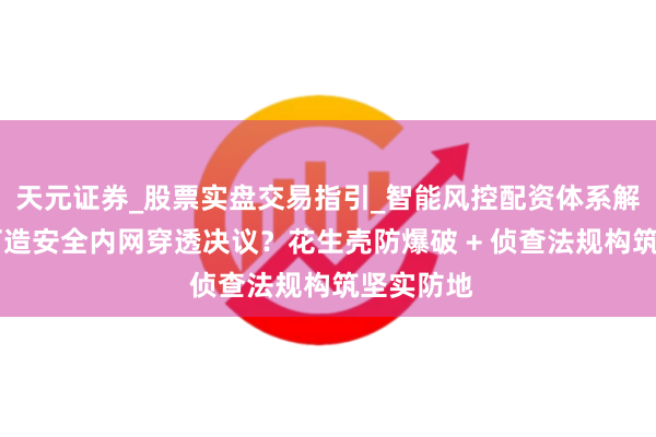 天元证券_股票实盘交易指引_智能风控配资体系解析 若何打造安全内网穿透决议？花生壳防爆破 + 侦查法规构筑坚实防地