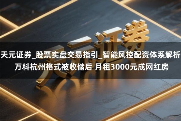 天元证券_股票实盘交易指引_智能风控配资体系解析 万科杭州格式被收储后 月租3000元成网红房